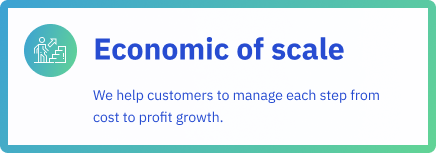 economic of scale
